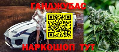 шишки Бузулук