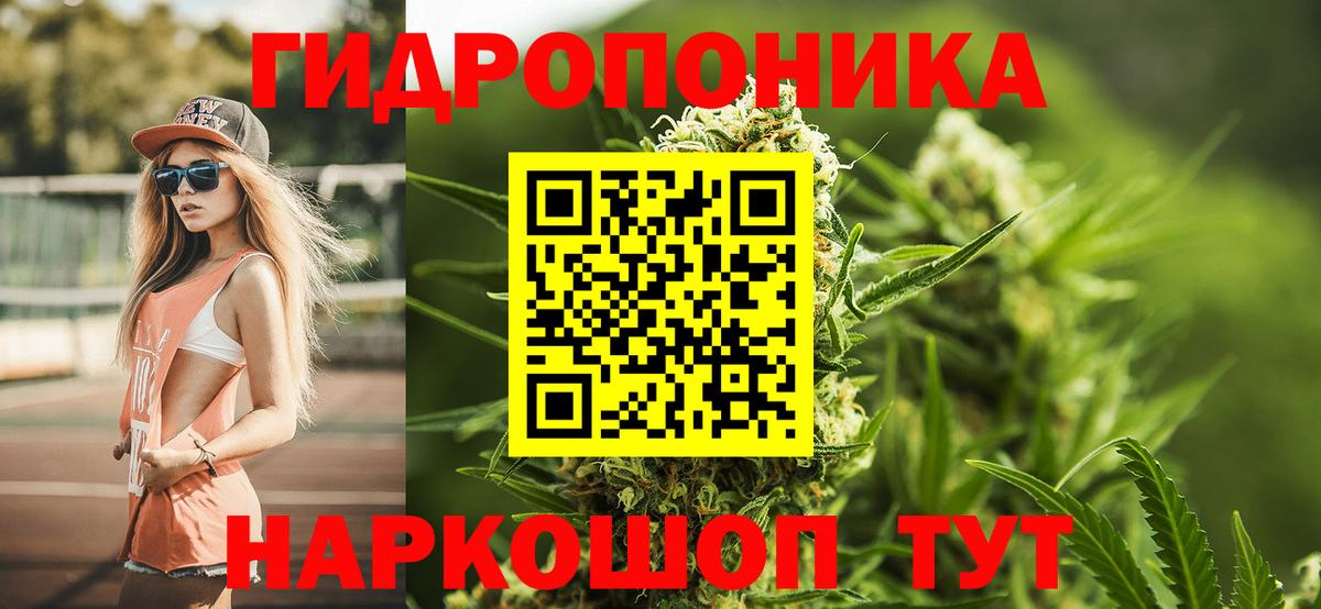МАРИХУАНА Bruce Banner  Бошки марихуана гибрид  Пугачёв  Вход с VPN  Каннабис семена 