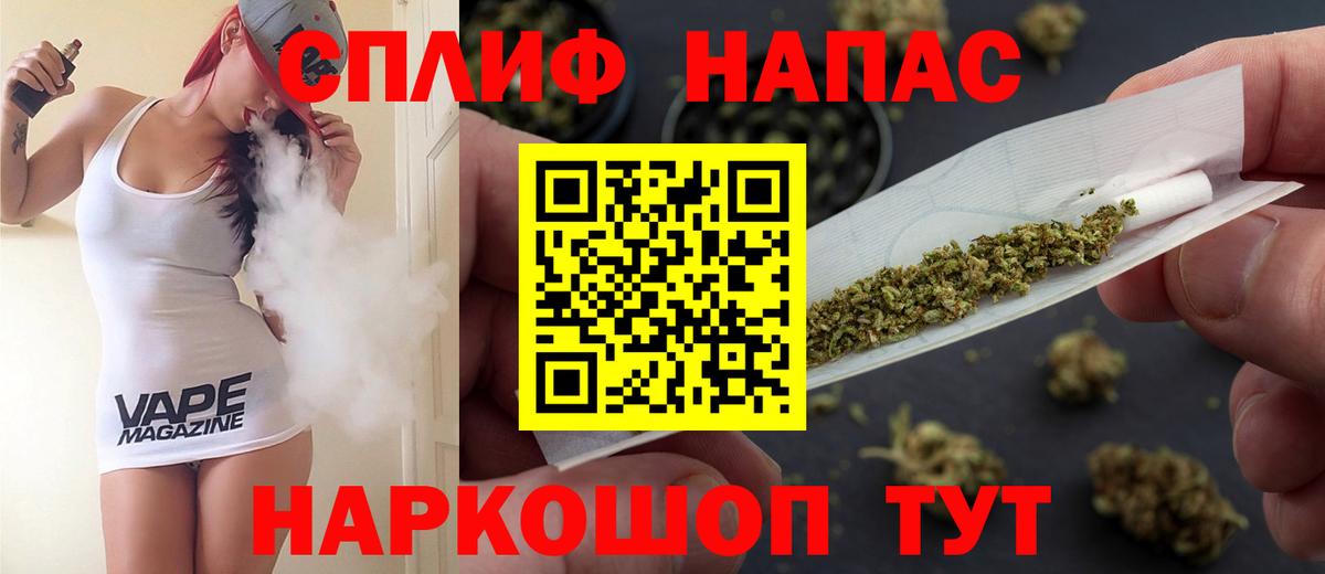 Конопля планчик Пугачёв